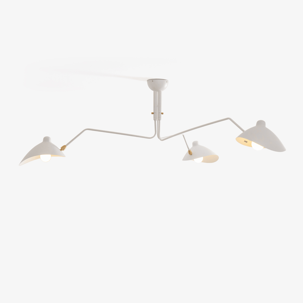 Multi-Arm Spider Ceiling Light A