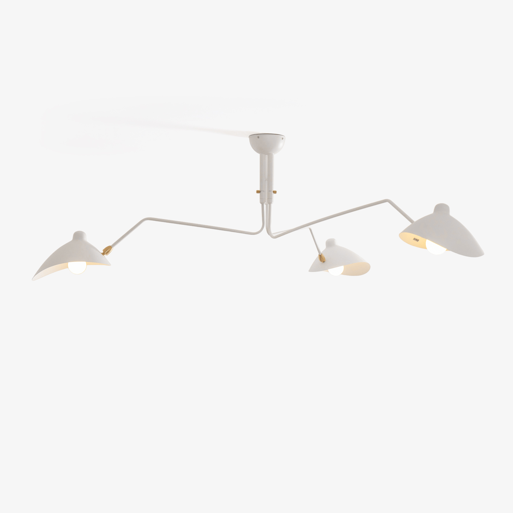 Multi-Arm Spider Ceiling Light A