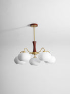 Brass Wooden Persimmon Chandelier