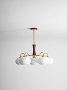 Brass Wooden Persimmon Chandelier