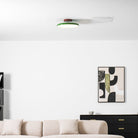 Drift Adjustable Ceiling Lamp