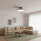 Drift Adjustable Ceiling Lamp