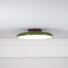 Drift Adjustable Ceiling Lamp