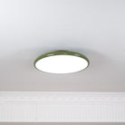 Drift Adjustable Ceiling Lamp