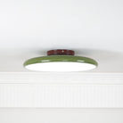 Drift Adjustable Ceiling Lamp