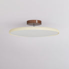 Drift Adjustable Ceiling Lamp