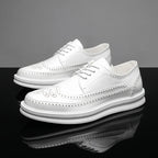 Ashton Brogue Sneakers