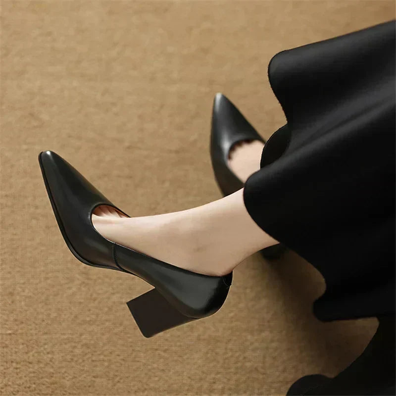 Verona | Women Pointed Toe Pumps With Block Heel