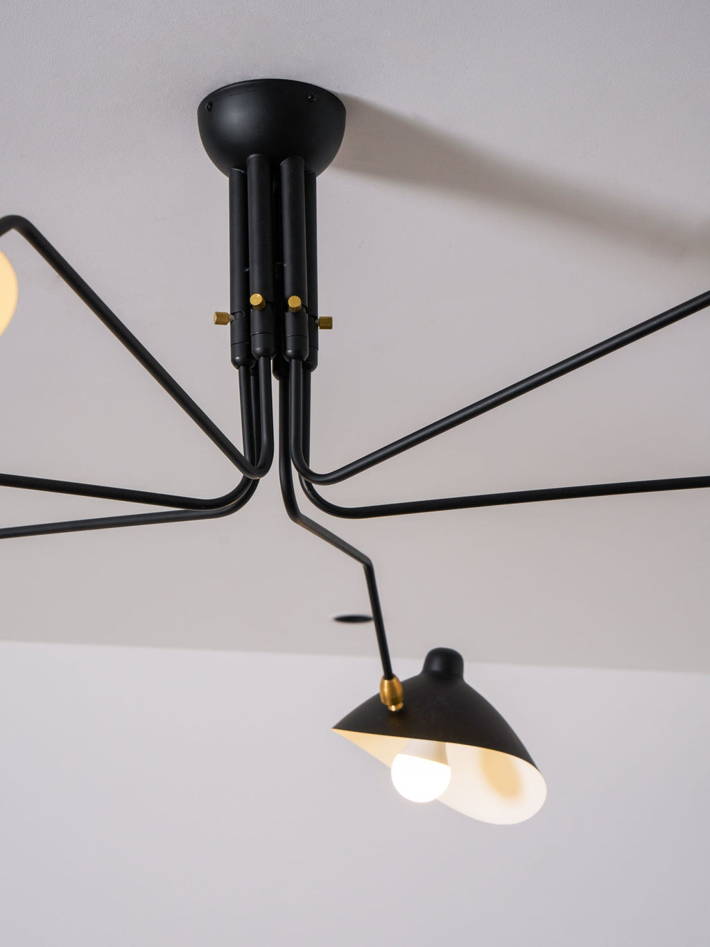 Multi-Arm Spider Ceiling Light A