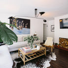 Multi-Arm Spider Ceiling Light A