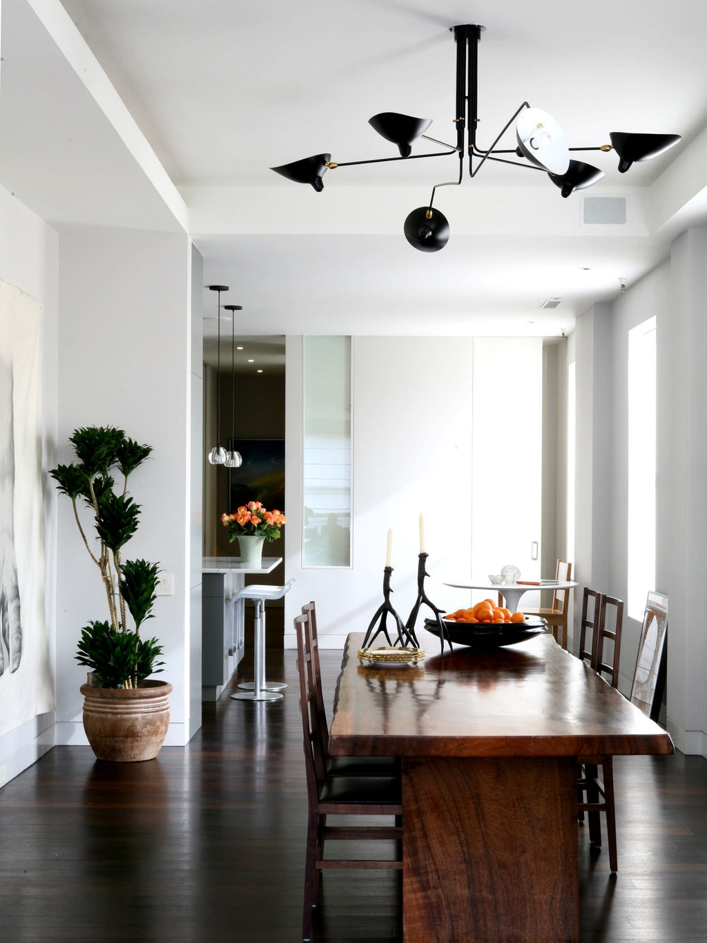 Multi-Arm Spider Ceiling Light A