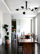 Multi-Arm Spider Ceiling Light A