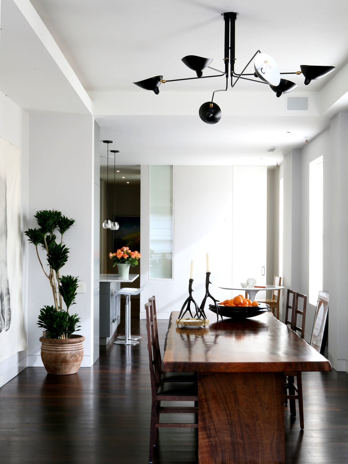 Multi-Arm Spider Ceiling Light A