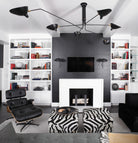 Multi-Arm Spider Ceiling Light A