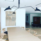 Multi-Arm Spider Ceiling Light A