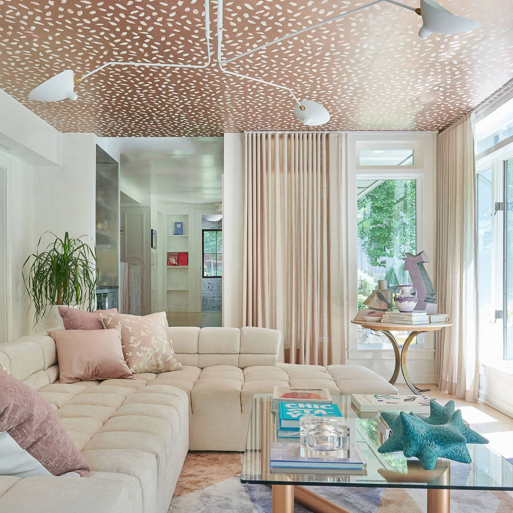 Multi-Arm Spider Ceiling Light A