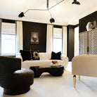 Multi-Arm Spider Ceiling Light A