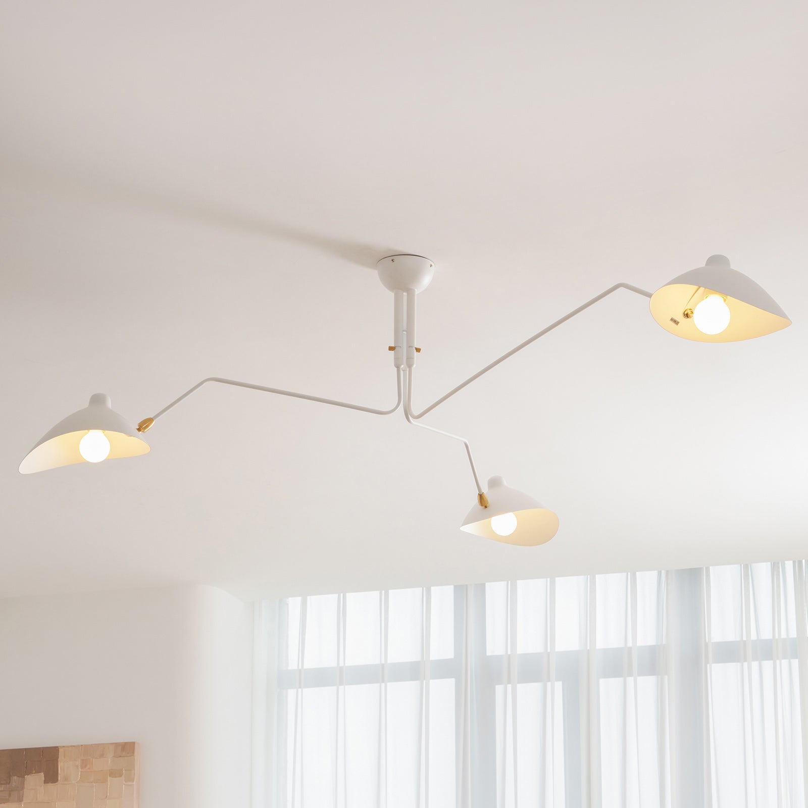 Multi-Arm Spider Ceiling Light A