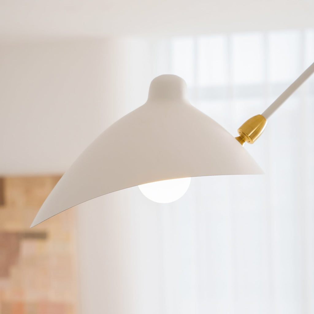 Multi-Arm Spider Ceiling Light A