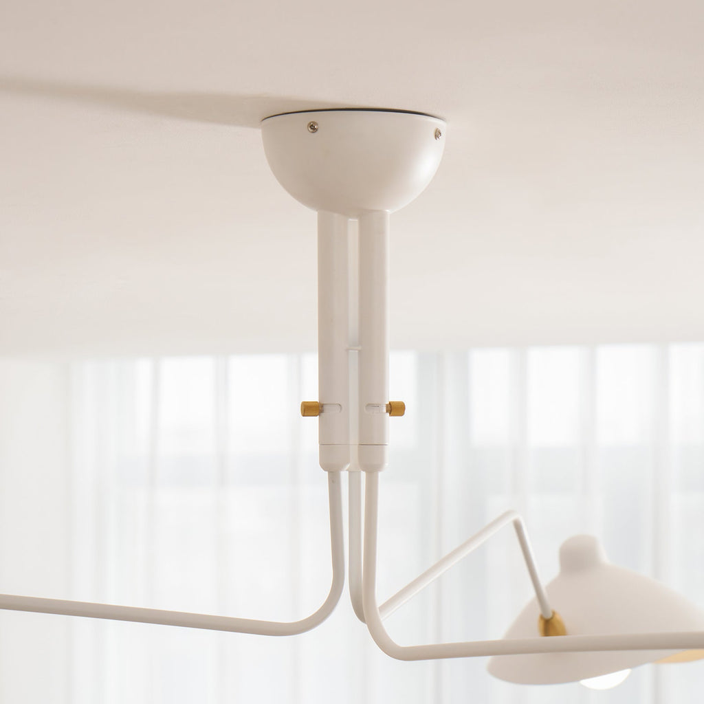 Multi-Arm Spider Ceiling Light A