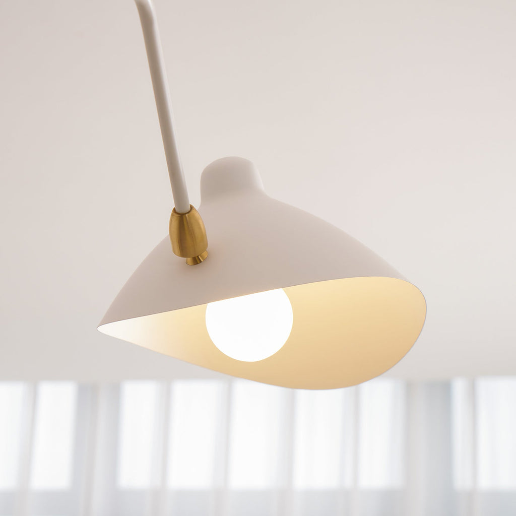 Multi-Arm Spider Ceiling Light A