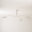 Multi-Arm Spider Ceiling Light A