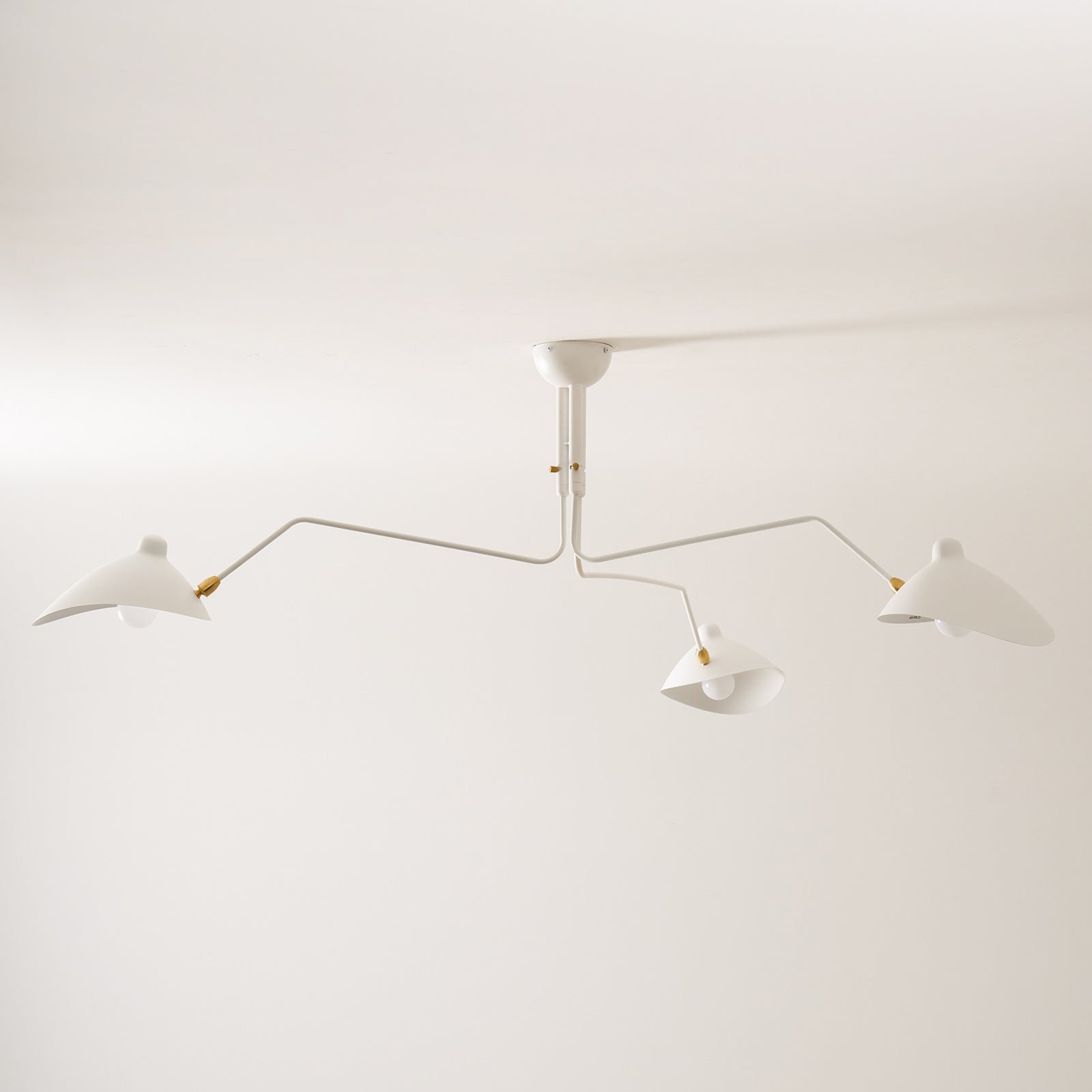 Multi-Arm Spider Ceiling Light A