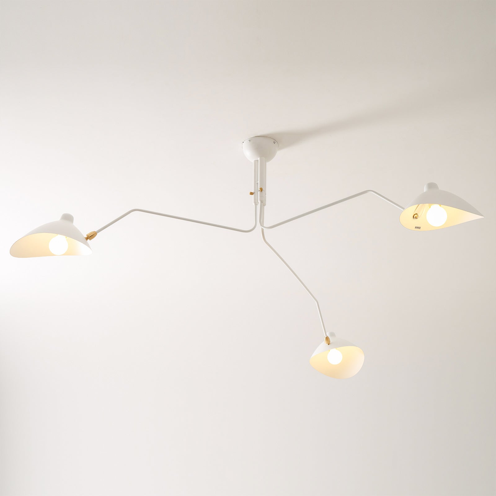 Multi-Arm Spider Ceiling Light A