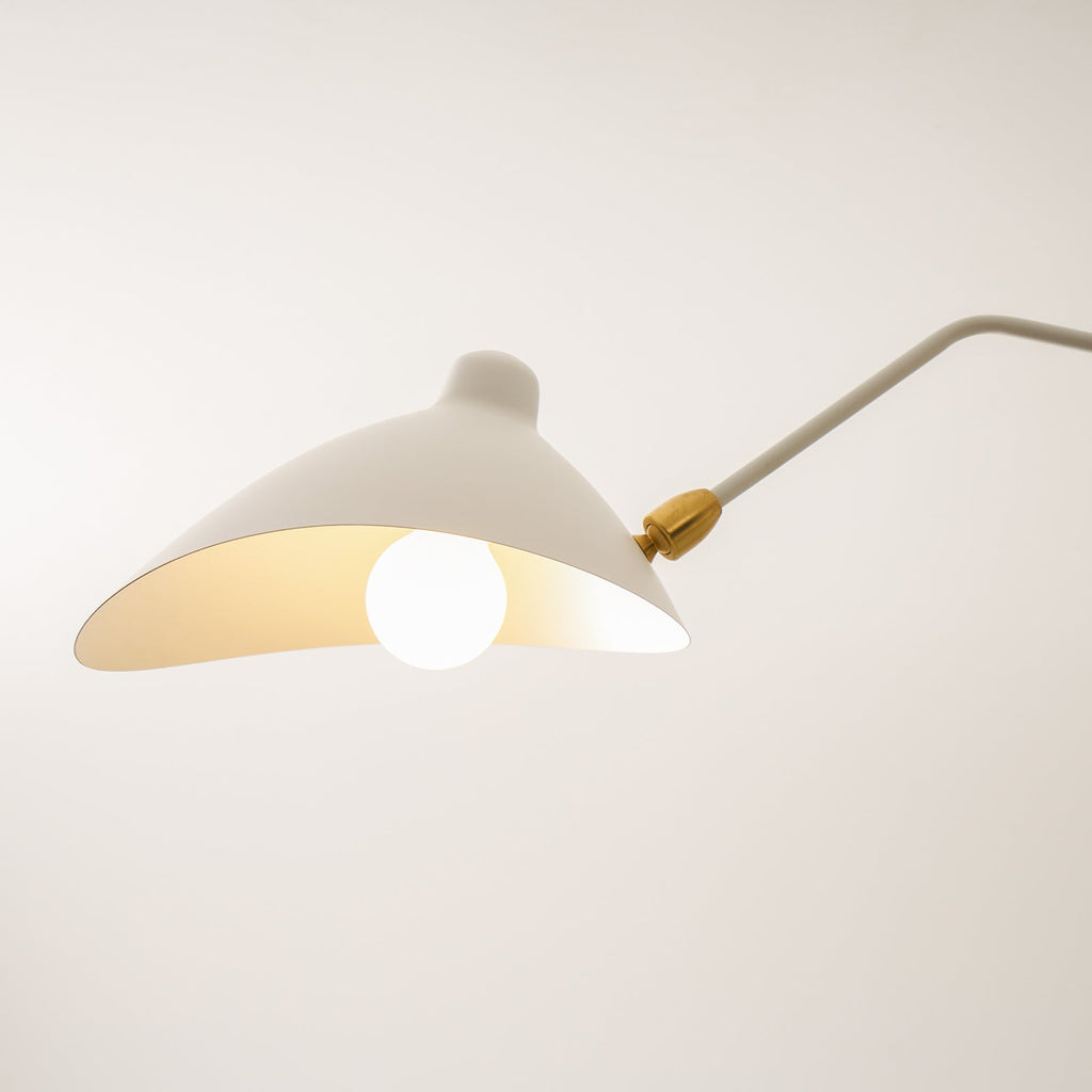 Multi-Arm Spider Ceiling Light A