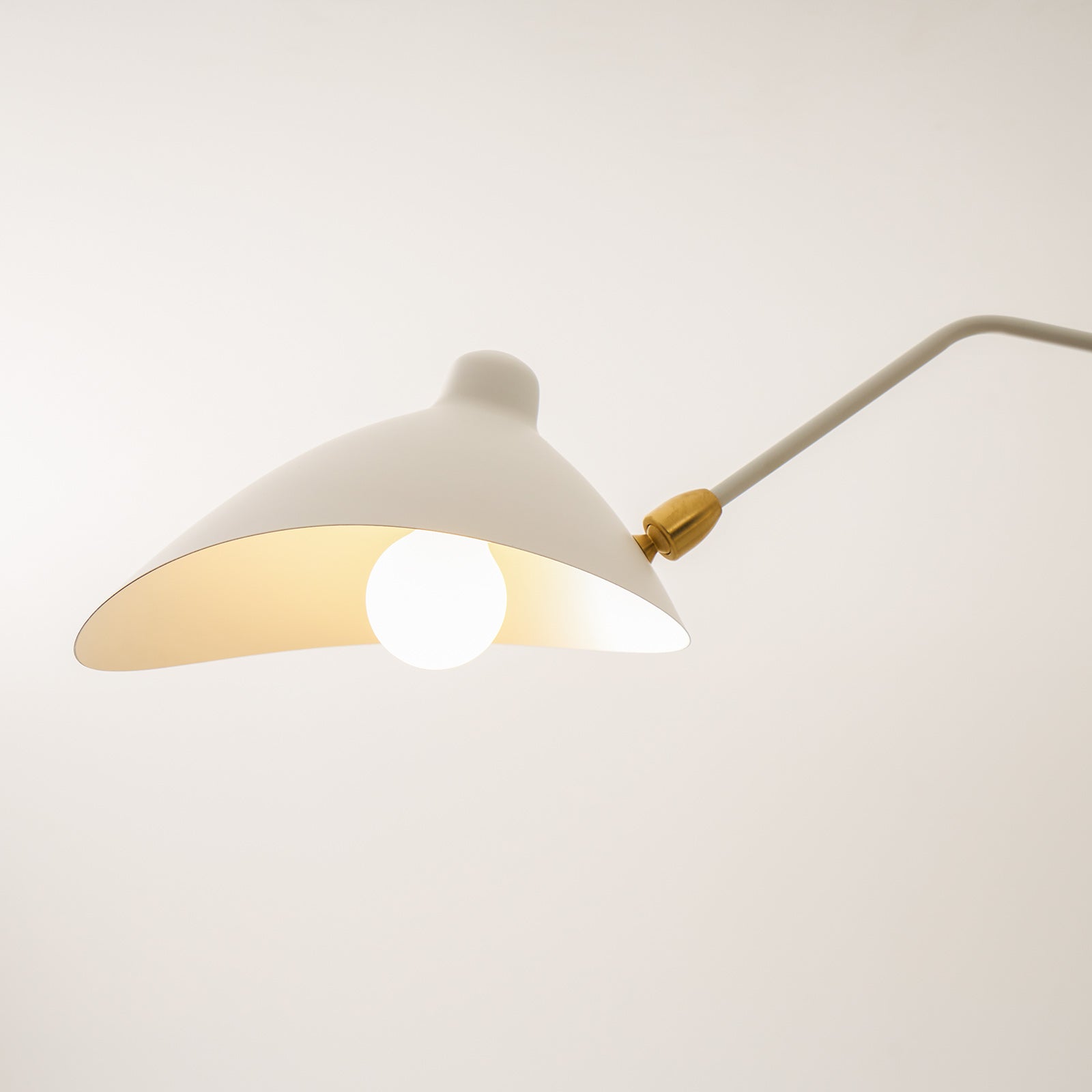 Multi-Arm Spider Ceiling Light A