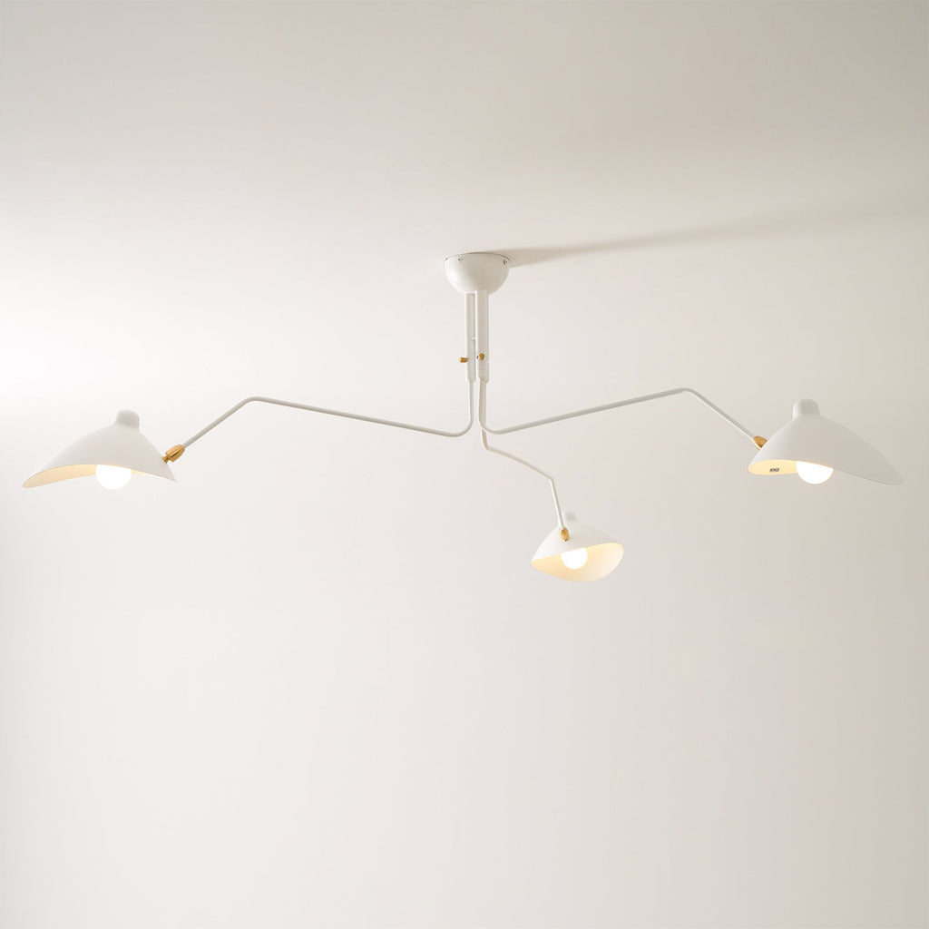 Multi-Arm Spider Ceiling Light A