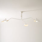Multi-Arm Spider Ceiling Light A