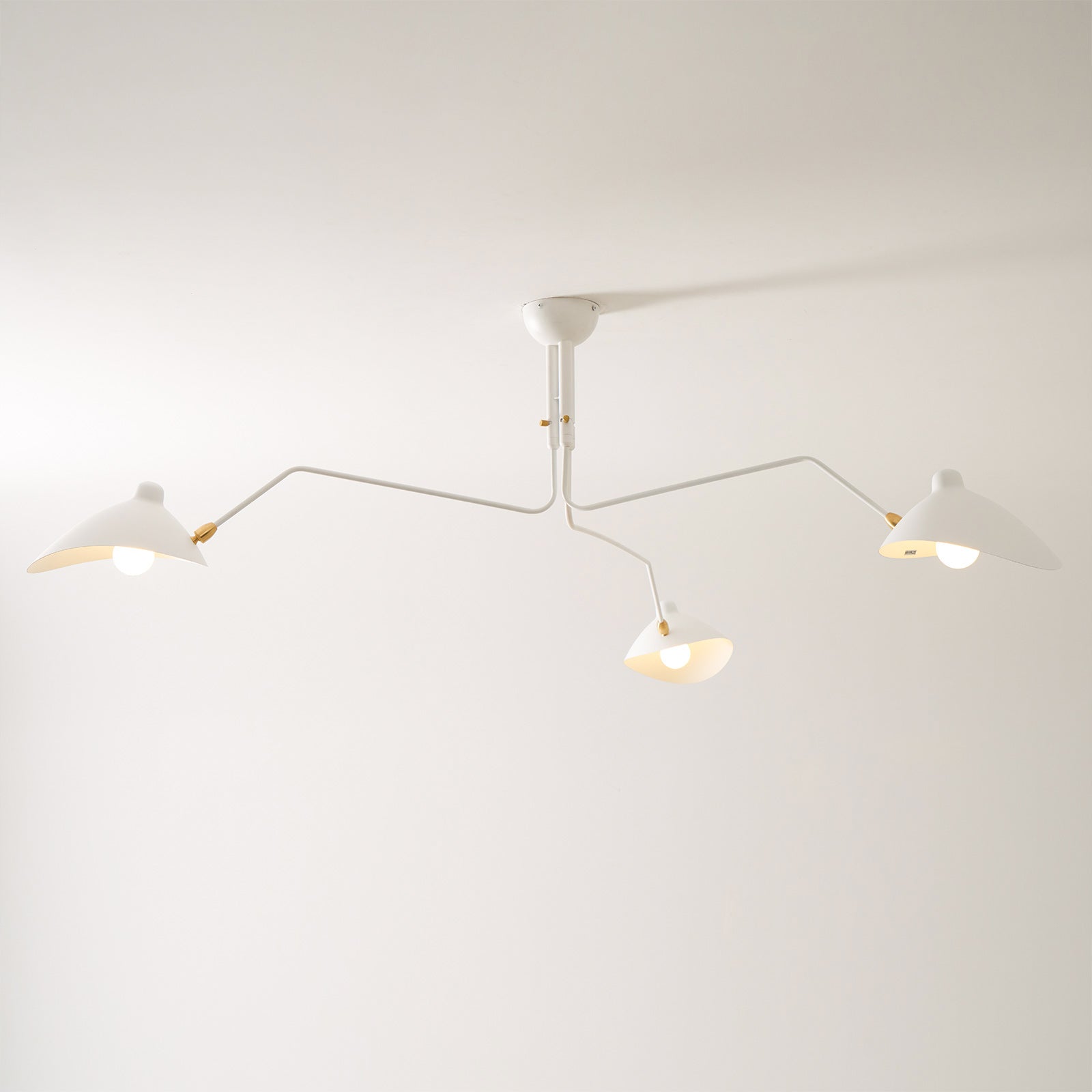 Multi-Arm Spider Ceiling Light A