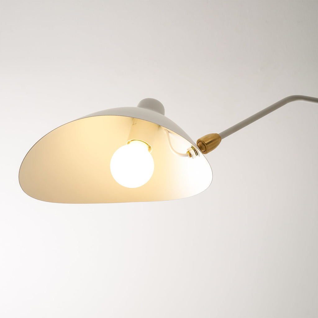 Multi-Arm Spider Ceiling Light A