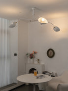 Multi-Arm Spider Ceiling Light A