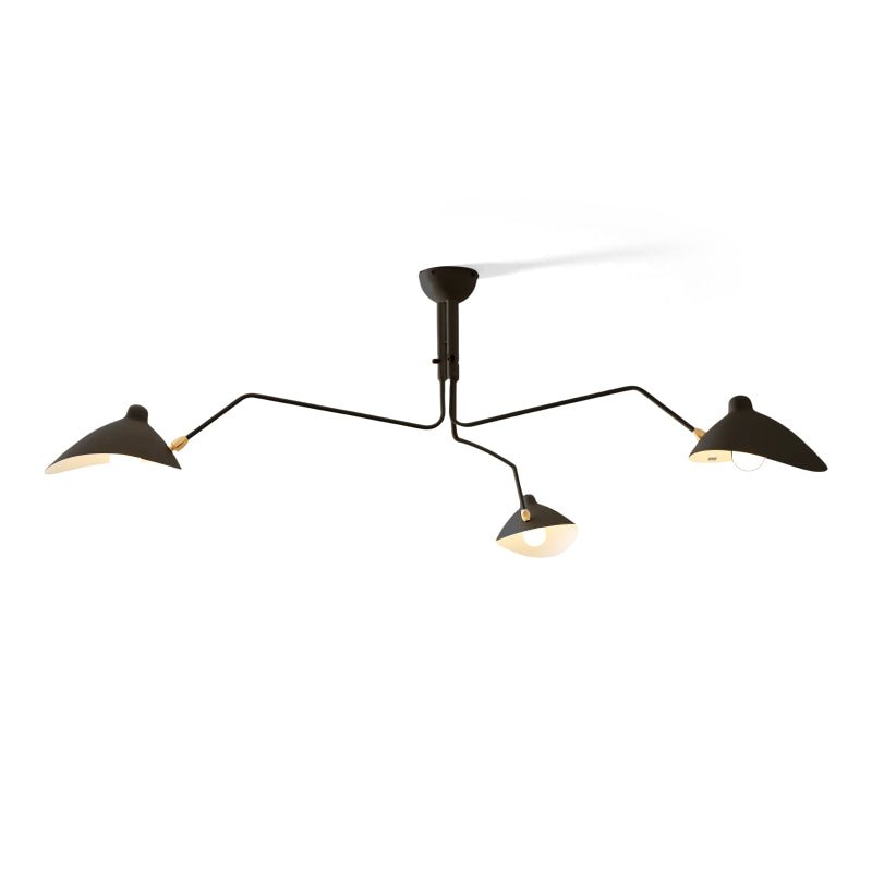 Multi-Arm Spider Ceiling Light A