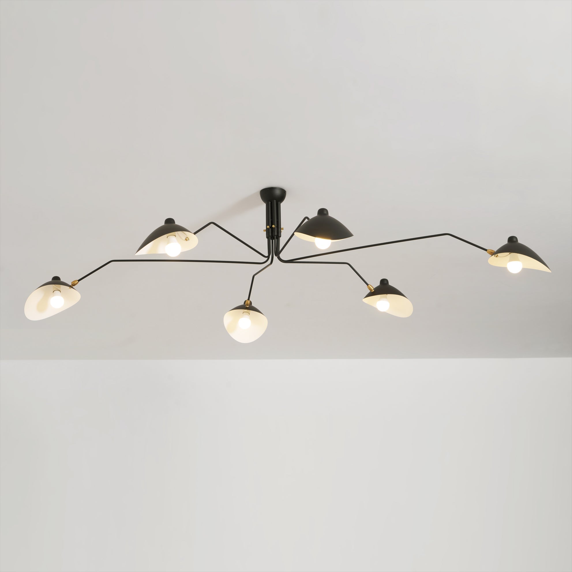 Multi-Arm Spider Ceiling Light A