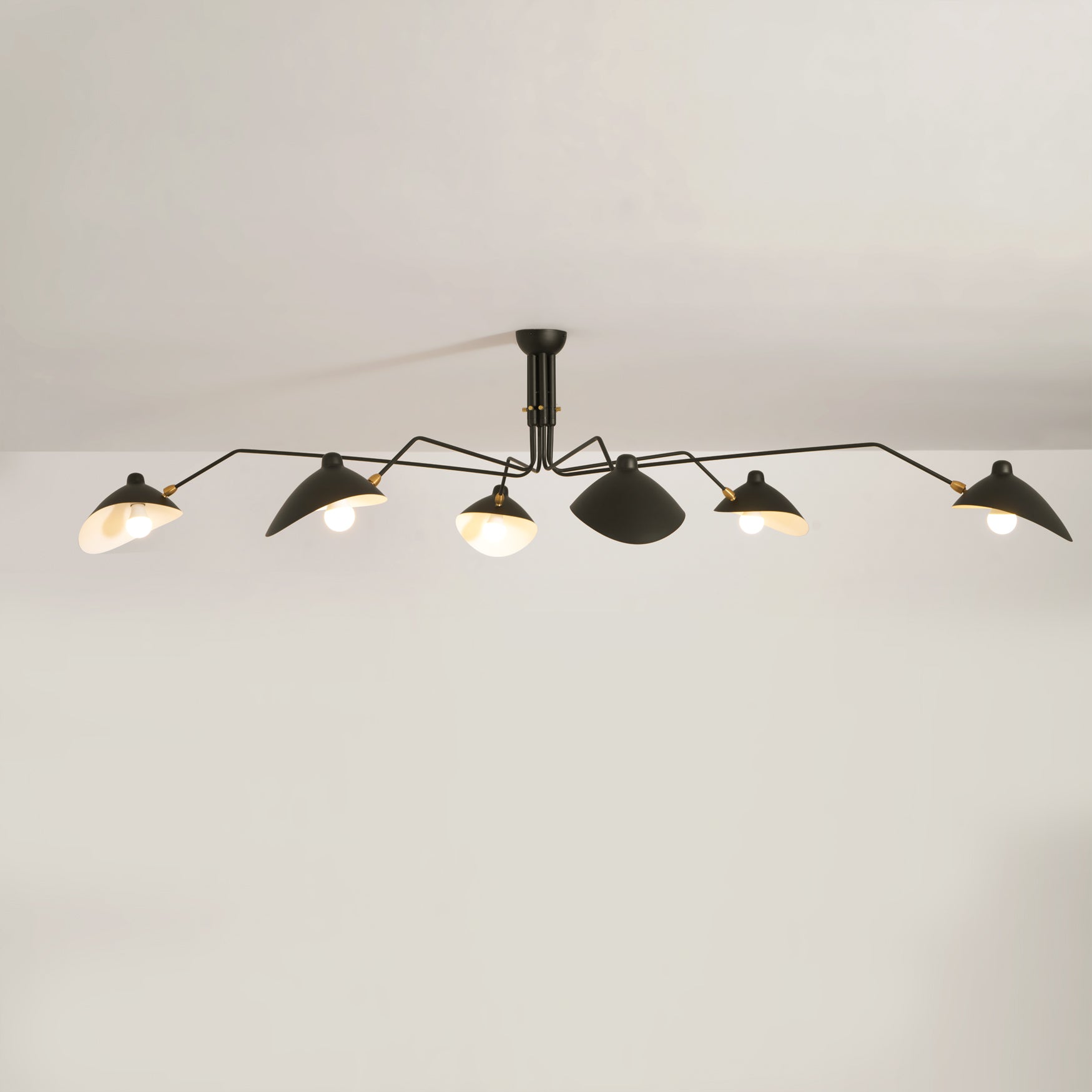 Multi-Arm Spider Ceiling Light A