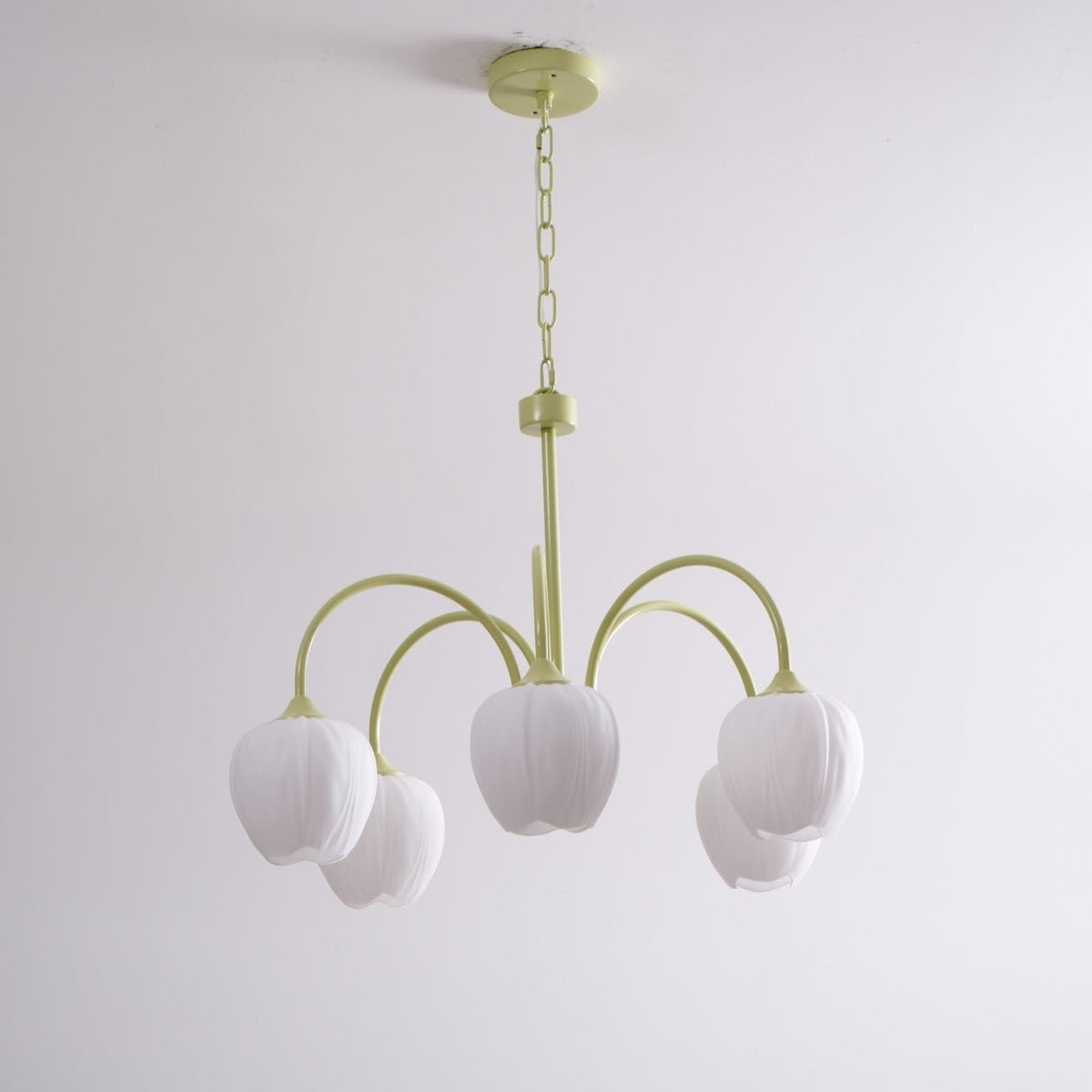 Tulip Matcha Chandelier